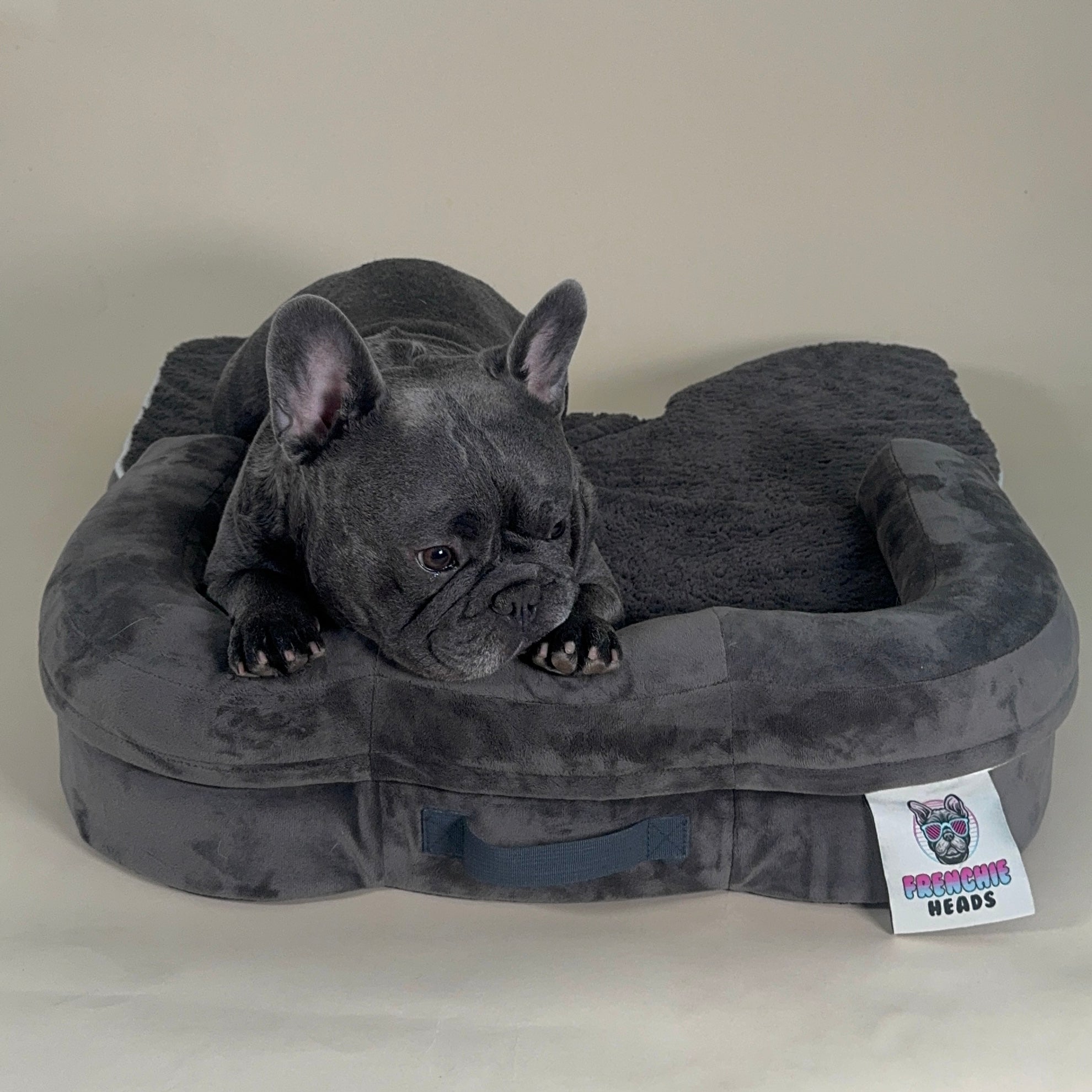 Frenchie Head Bed