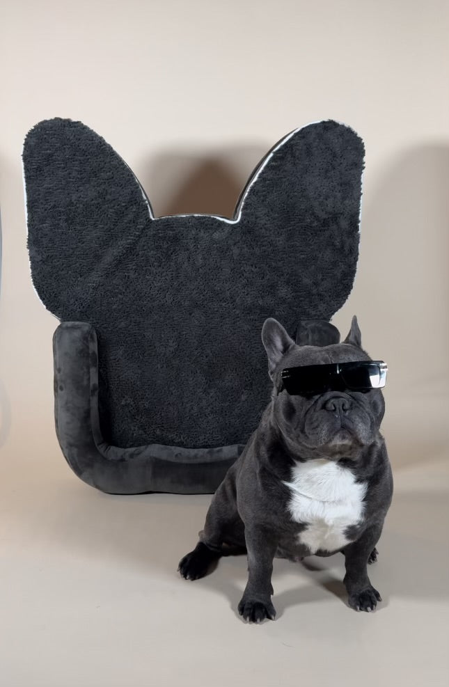 Frenchie Heads Bed